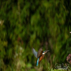 dsc_36222.jpg