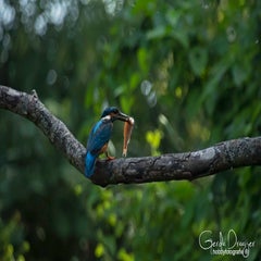 dsc_40212.jpg