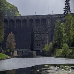 dsc_08702.jpg