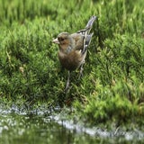 DSC_57812.jpg