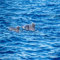 dsc_47843.jpg