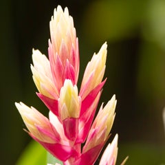 dsc_17312.jpg