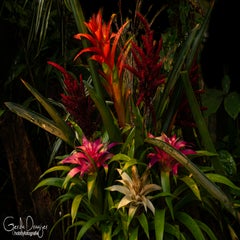 dsc_15893.jpg