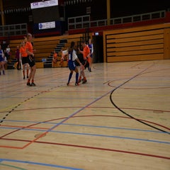 dsc_0764jpg.jpg