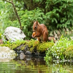 dsc_23403.jpg