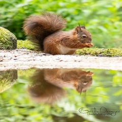 dsc_22163.jpg