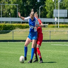 wu14.jpg