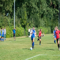 dsc_50822.jpg