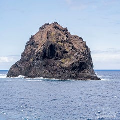 dsc_52582-1.jpg