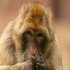 dsc_79353.jpg