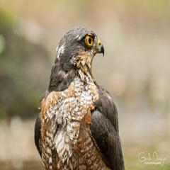 dsc_24043.jpg