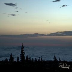 dsc_45693.jpg