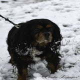 DSC_54262.jpg