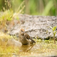 dsc_35922.jpg