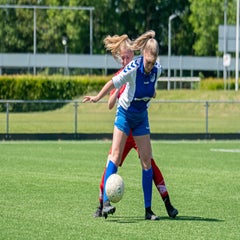 wu15.jpg