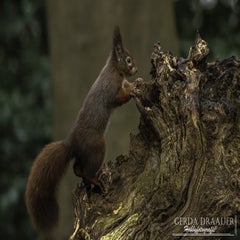dsc_80492.jpg