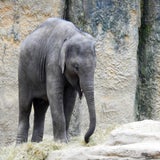 DSCN3260.jpg