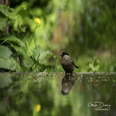 dsc_12652.jpg