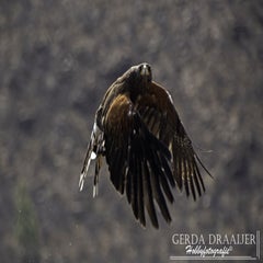 dsc_48542.jpg