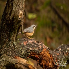 dsc_58272-1.jpg