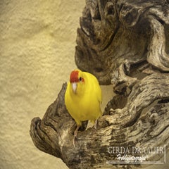 dsc_50572-1.jpg