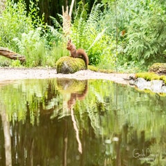 dsc_22643.jpg
