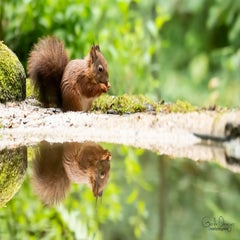 dsc_22173.jpg