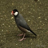 DSC_34252.jpg