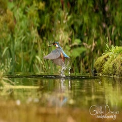 dsc_33662.jpg