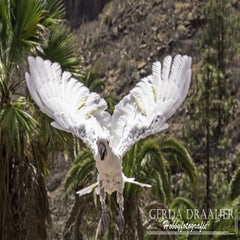 dsc_52332-1.jpg