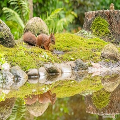 dsc_22033.jpg