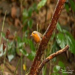 dsc_57722.jpg