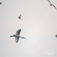 dsc_38042.jpg
