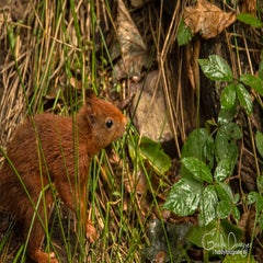 dsc_61332.jpg