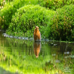 dsc_90803.jpg