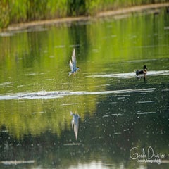 dsc_27692.jpg