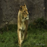 DSC_35722.jpg