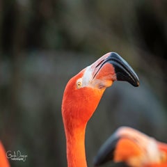 dsc_18843.jpg