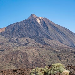 dsc_50442.jpg