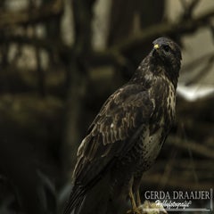dsc_69892.jpg