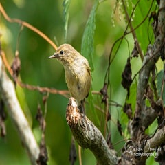 dsc_42542.jpg