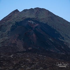 dsc_45753.jpg