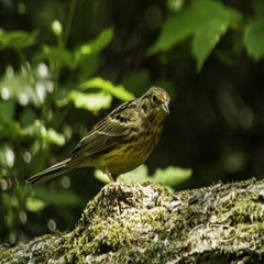 dsc_12332.jpg
