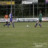 DSC_14022.jpg