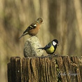 DSC_58432.jpg