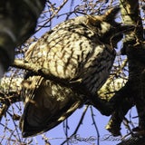 DSC_55492.jpg