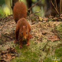dsc_61252.jpg