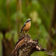 dsc_57942-1.jpg