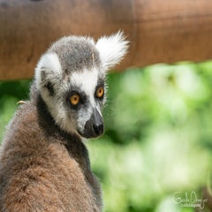 dsc_09773.jpg