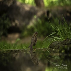 dsc_11792-2.jpg